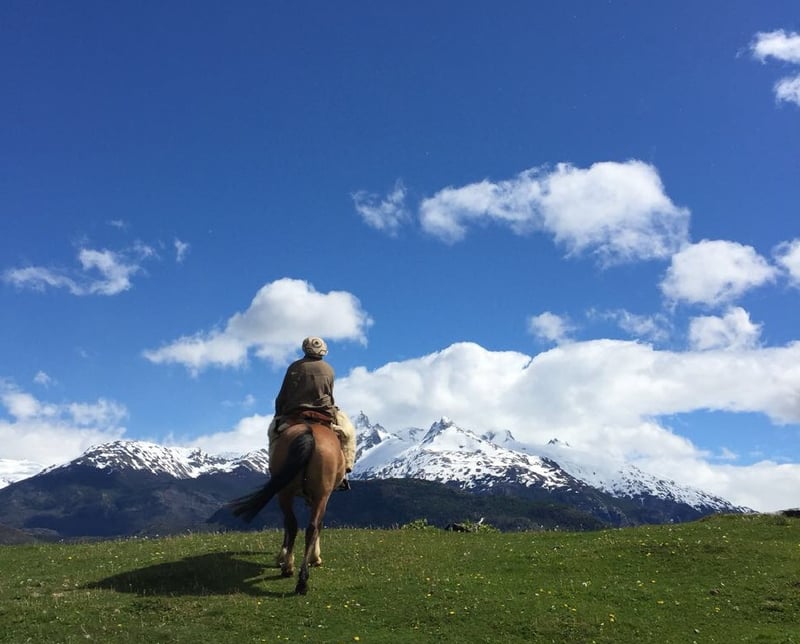 Animales en la Patagonia